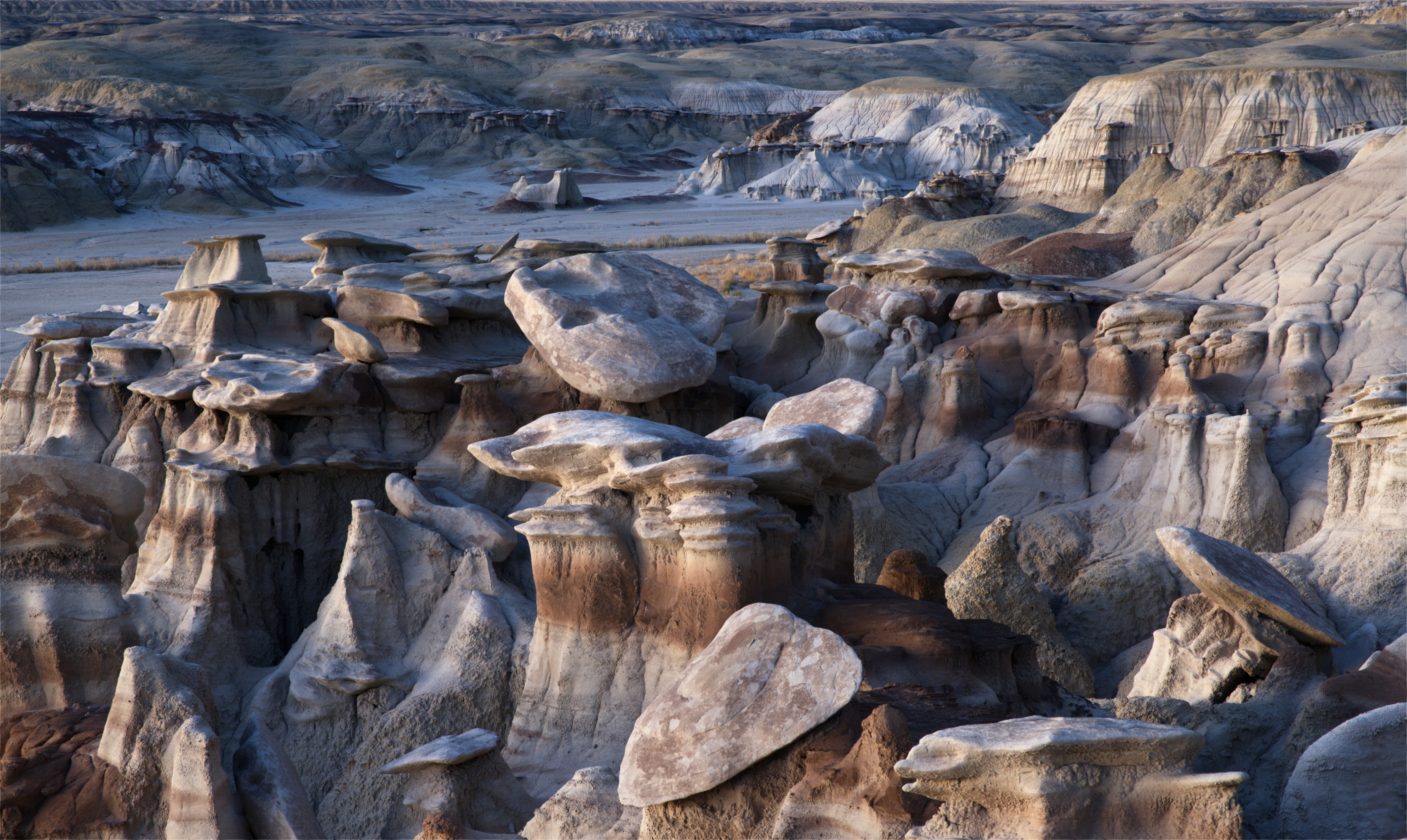 Bisti Badlands - Steve G.'s photo gallery